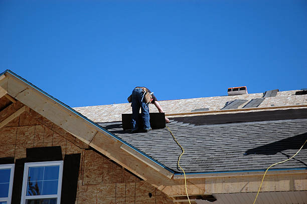 Best Roof Gutter Cleaning  in Waldo, AR