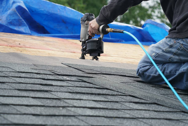 Best Roof Gutter Cleaning  in Waldo, AR